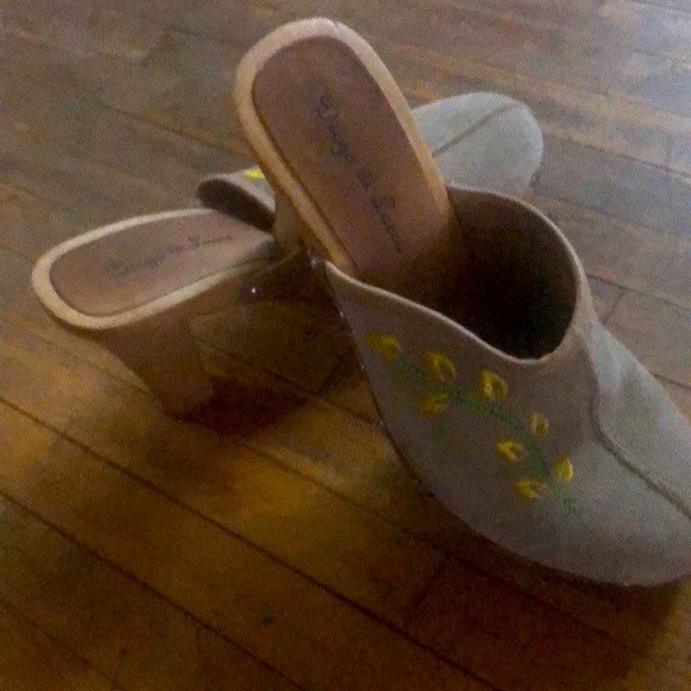 Diego do Lucca clogs size 8.5 embroidered